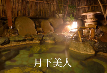 たつた旅館　天然温泉　月下美人