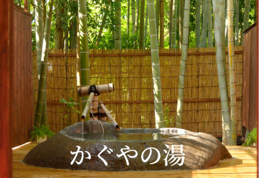 たつた旅館　天然温泉　かぐやの湯