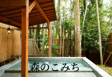 たつた旅館　天然温泉　森のこみち